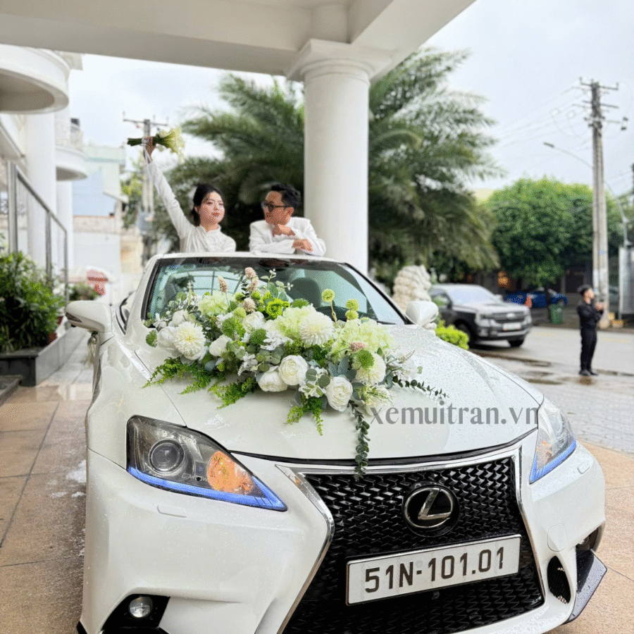 xe mui trần