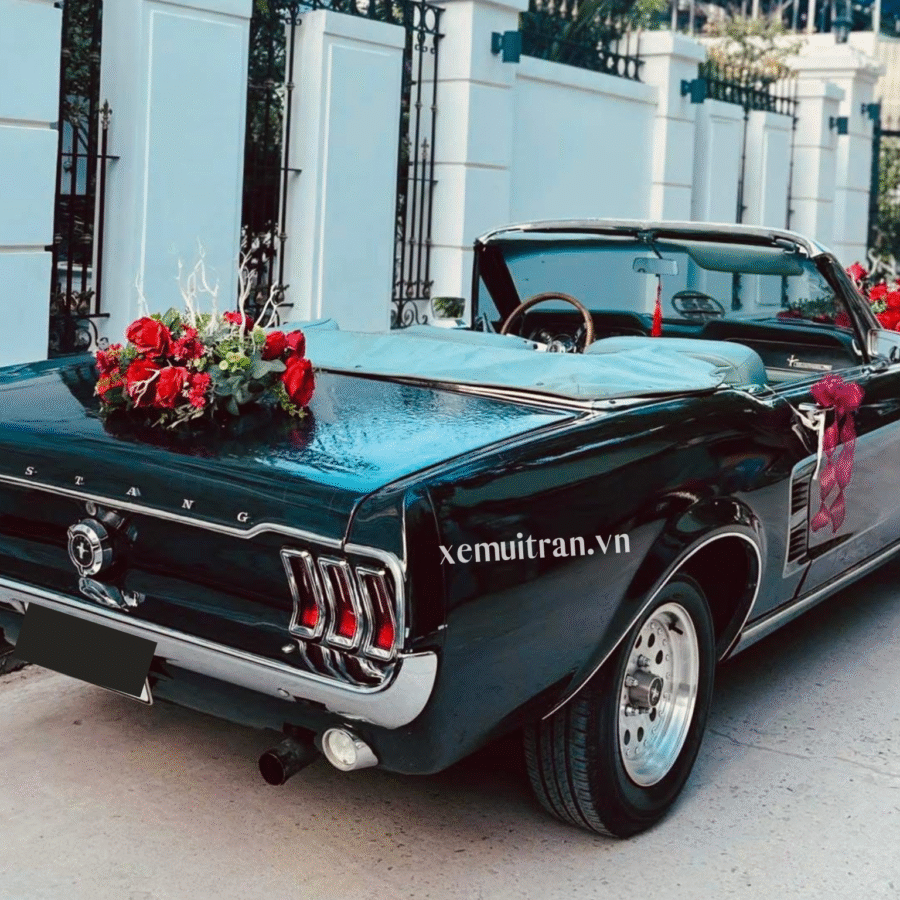 Xe cưới mustang cổ màu đen