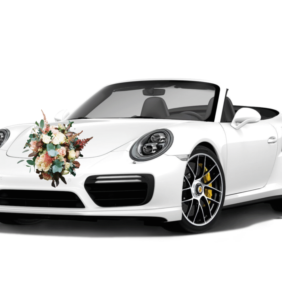 Xe Hoa mui trần porsche